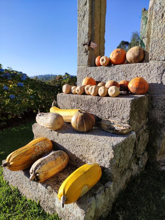 Casa Da Mata Villa Paredes de Coura Kültér fotó